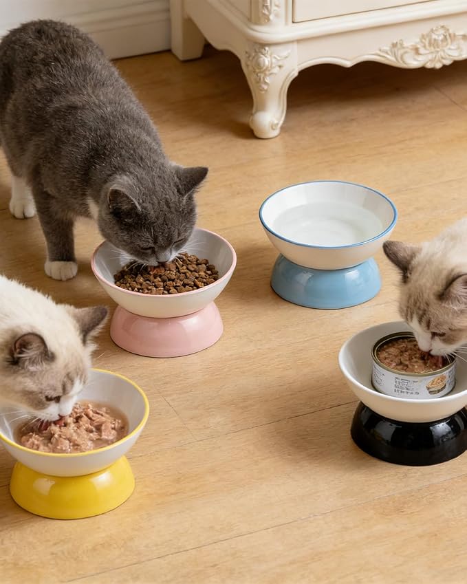 Ceramic Elevated Cats Bowls, 4Pc Extra Wide Raised Cats Bowls, Shallow Whisker Friendly Food & Water Dish, Anti Vomit, Microwave & Dishwasher Safe, 5 oz (Colorful 5.3 x 3.5'')