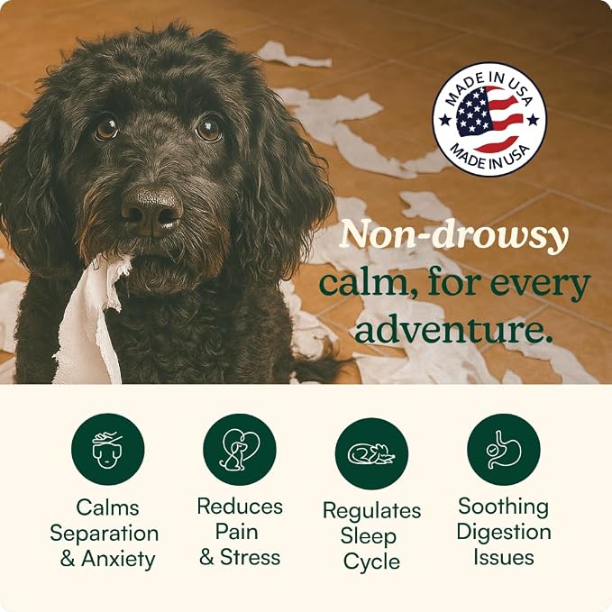 Reggie Anytime Calming Chews for Dogs | Dog Anxiety Relief with L-Theanine & Magnolia Barks | Dog Calming Treats for Separation Anxiety, Thunderstorms, Travel & Stress | 120 Soft Chews