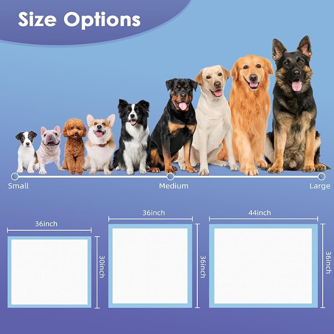 SCLOSE Extra Large Puppy Pee Pads, 30"x36" 30 Counts Pee Pads for Dogs XL, Puppy Pads Super Absorbent & Leak-Proof, Jumbo Disposable Training Pads, Wee Wee Pads for Dogs, Potty Pads, Doggy Pads