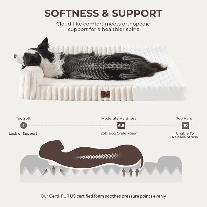 Orthopedic Dog Bed Extra Large Pet Beds with Removable Washable Cover, Couch-Like Sofa Design for S to XXL Dogs Up to 120 lbs, with Soft Short Plush Surface & Foam, 48x35x10.5 Inch, Cream