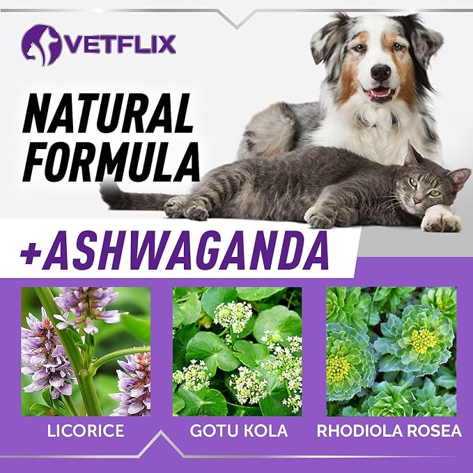 Adrenal Support Liquid Supplement for Dogs, Cats, Puppies & Kittens, 2 Oz | Cushing's and Kidney Support, Natural Endocrine Health Formula