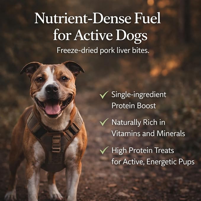 Freeze-Dried Dog Treats – Single Ingredient, High Protein, All-Natural (Pork)