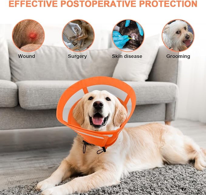 ASENKU Dog Cone Collar, Soft Adjustable Cone for Dogs to Stop Licking, Lightweight Recovery Dog Cone After Surgery, Pet E-Collar for Small, Medium & Large Dogs(Orange, M)