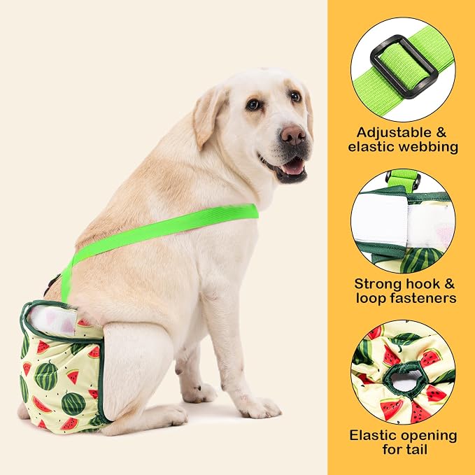 Avont 3 Pack Washable Female Dog Diaper with Suspender, Reusable Girl Doggie Diapers for Small Medium Large Doggy in Heat Cycle Period Incontinence