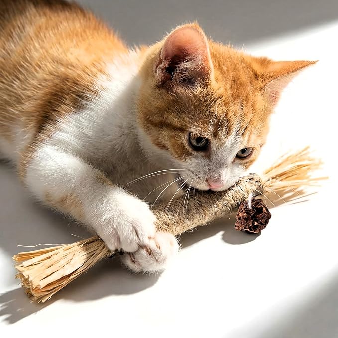 5 Pack Natural Silvervine & Matatabi Dental Sticks for Cats, Chew Toys with Catnip for Teeth Cleaning, Interactive Lick Toys for Kittens and Adult Cats to Enrich Mood & Play