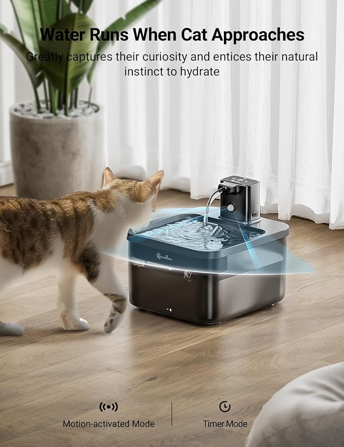DownyPaws Wireless Cat Water Fountian Black and Cat House for Indoor Cats Cream