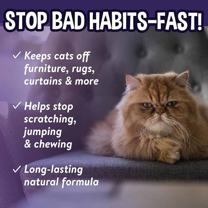 Bodhi 3-in-1 Cat & Kitten Training Aid - Cat Deterrent Spray for Indoor and Outdoor Use - Repellent to Establish Boundaries, Keep Cats Off Furniture, Protect Rugs & Plants - Made in USA (8 Fl Oz)