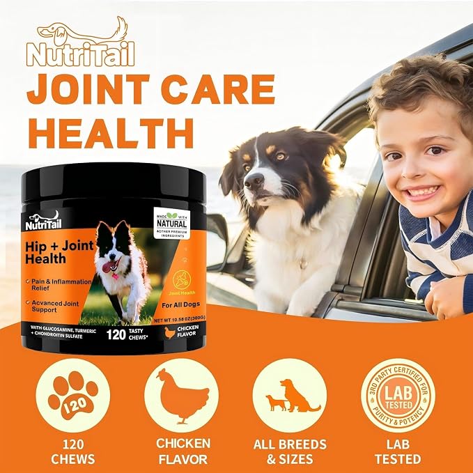 Hip & Joint Health Soft Chews for Dogs – Glucosamine, Turmeric, Omega-3 & Chondroitin – Natural Joint Supplement for Mobility, Pain & Inflammation Relief – Chicken Flavor, 120 Soft Chews
