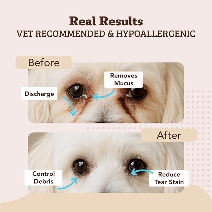 Natural Dog Company Eye & Ear Wipes Bundle for Dogs – Tear Stain Remover & Ear Cleaner Wipes with Green Tea, Goldenseal, Calendula & Aloe – Vegan, Non-Irritating Formula – 100 ct + 50 ct