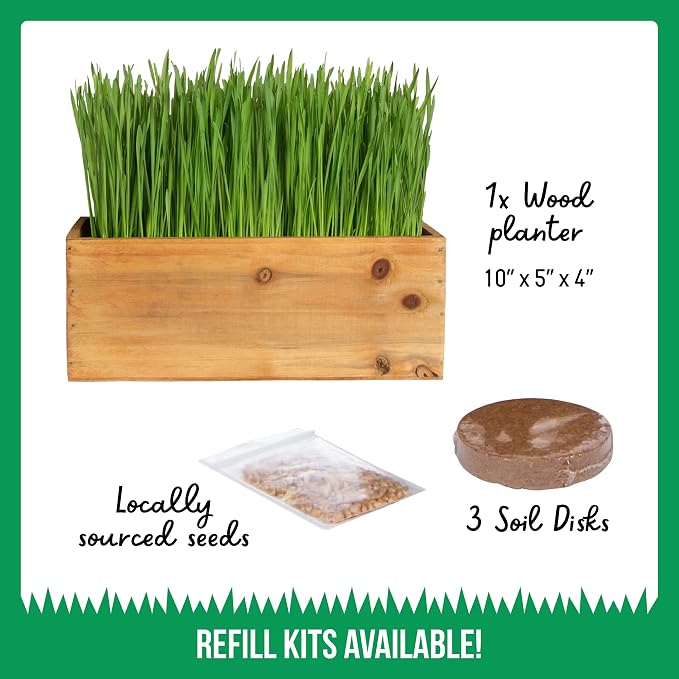 TCL Natural Wooden Planter Cat Grass Kit with Refill