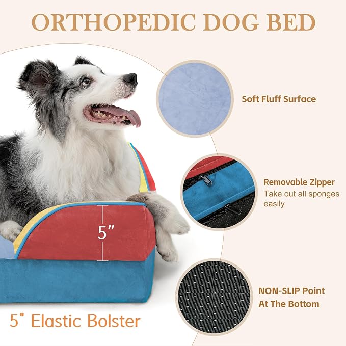 Comfort Expression Orthopedic Dog Bed for Large Dogs 36x27 Inch, Waterproof Egg Crate Foam Large Pet Bed with Bolsters, Dog Couch with Washable Cover & Non-Slip Bottom, Funfetti Fiesta