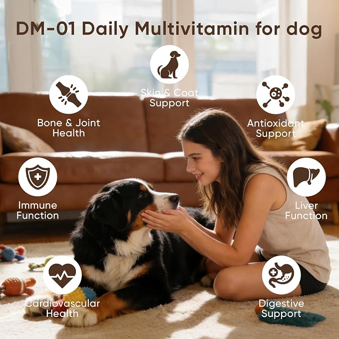 DM-01 Daily Multivitamin, Multivitamin Itch Relief Chews for Dog, with Folic Acid, Salmon Oil, Chondroitin & Natural Vitamins, Skin and Coat Healthy, Digestive & Boost Immunity, 60 Chew (Beef)