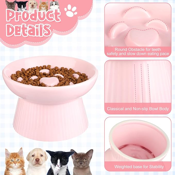 Tioncy 2 Pcs Raised Cat Slow Feeder Bowl Ceramic Elevated Cat Dog Food Bowl No Spill High Edge for Dry Wet Food and Water Easy to Clean, Dishwasher Safe (Pink,Dark Green)