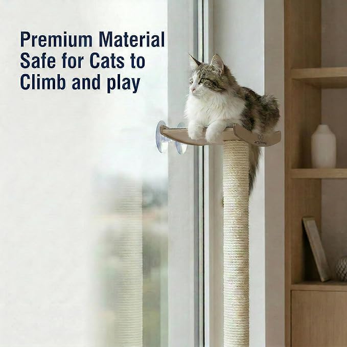 Cat Scratching Post with Perch for Large Cats – Modern Hammock Window Bed, Strong Suction Cups, Durable Eco, Space Saving Furniture for Indoor Cats