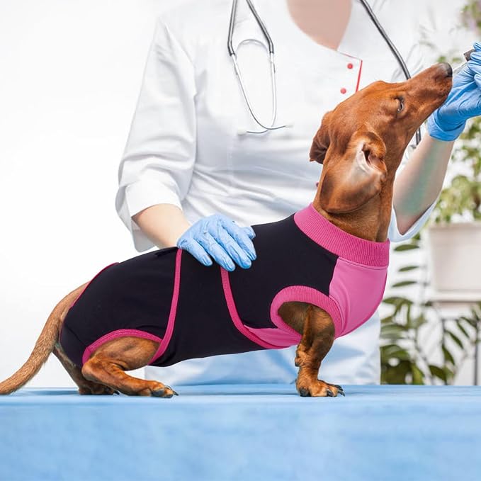 Kuoser Recovery Suit for Dogs After Surgery, Soft Dog Surgery Suit Female Male, Breathable Pet Surgical Recovery Shirt, Anti Licking Dog Onesie for Abdominal Wounds Cone Alternatives, Black M