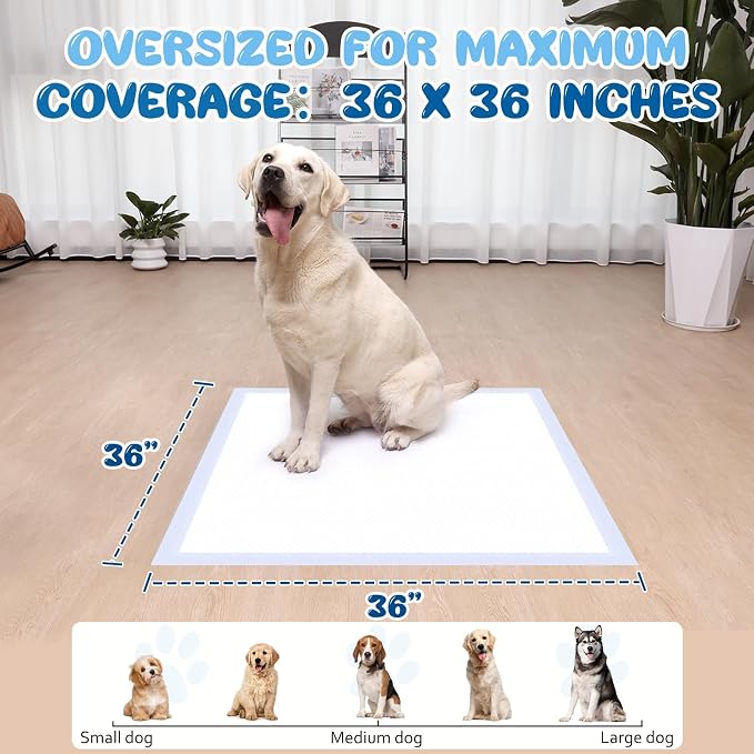 XXL Pee Pads for Dogs 36x36, 20 Count, Extra Thick XXXL Dog Pee Pads, 6-Layer Heavy Duty Holds Up to 12 Cups, Quick Dry Leak Proof Potty Training Pads for Large Dogs, Extra Large Puppy Pads