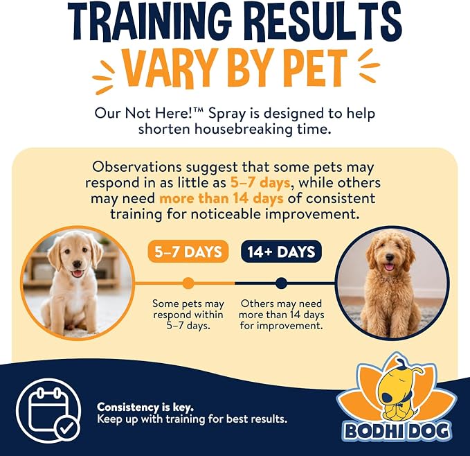 Bodhi Dog Not Here Spray - Trains Pets Where Not To Pee - Dog & Puppy Potty Training Spray to Stop Marking & Urinating Indoors or Outdoors - Safe for Furniture, Carpet & Floors - Made in USA (8 Fl Oz)