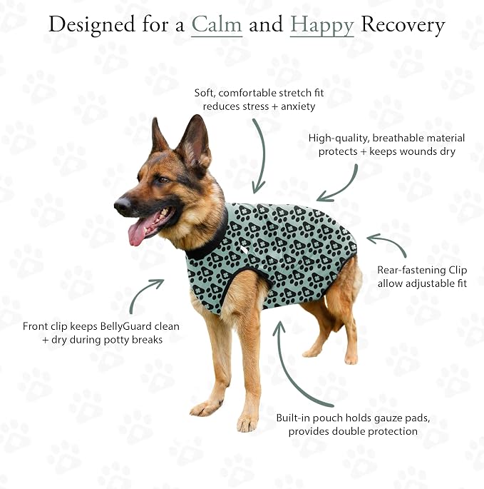 BellyGuard Dog Surgery Recovery Suit, Post-Op Dog Recovery Suit for Female Spay & Male Neuter, Comfy Onesie for Pets, Surgical Body Cover for Canine Healing Support