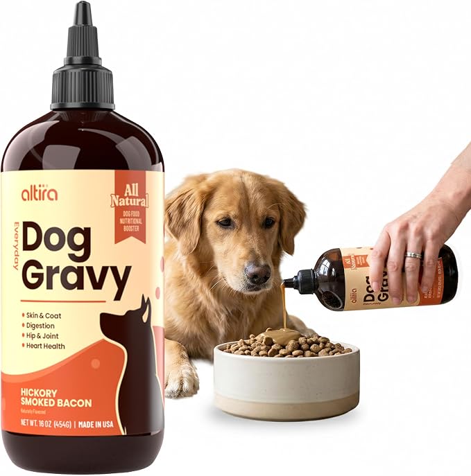 Everyday Dog Gravy - Hickory Bacon | Wet Dog Food Topper for Dry and Wet Food with Glucosamine, MSM, Bone Broth, Omega 3, Probiotics & Taurine | Picky Eaters, Hip & Joint Support | 16 oz