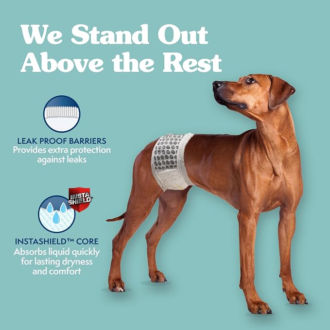 Simple Solution Disposable Dog Diapers, Wraps for Male Dogs, Puppy Diaper, Potty Training, Puppy Essential, Absorbent, Wetness Indicator, For Large Pets, 18 – 27 Inch Waist (L,12 Count)