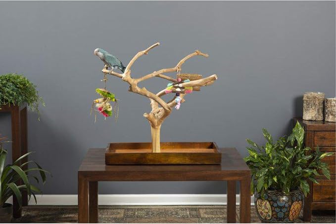 Prevue Pet Products Coffeawood Java Tree Minis Medium Table Top Playstand 22634, 22.5" L x 14.5" W x 24.0" H