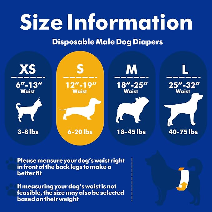 MICOOYO Male Dog Diapers, Disposable Male Dog Wraps with Wetness Indicator, Super Absorbent | Leak Proof Doggie Diapers for Incontinence, Marking, Puppy Training, S, 12-19-inch Waist, 20 Counts