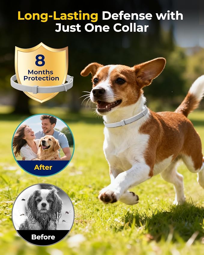 4 Pack Flea Collar for Small Dogs, Tick Collars for Puppy, Small Dog Flea Collar Under 18 lbs, 8 Months Protection