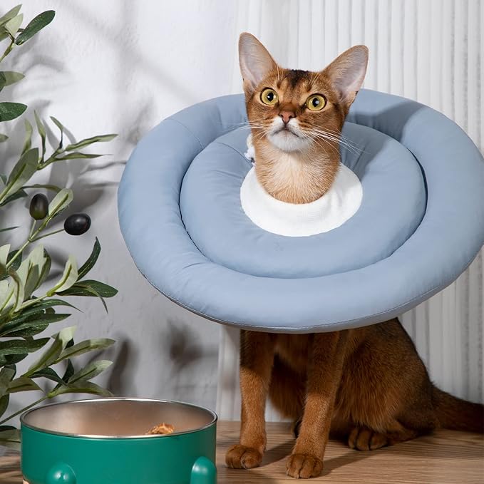 Gagabody Comfortable Adjustable Soft Cone Alternative for Medium Dogs, Cats, Small Dogs - After Surgery Recovery Collar