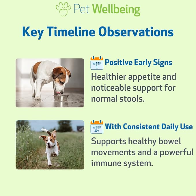 Pet Wellbeing - Ultimate Probiotic 9 Strains for Cats and Dogs - Natural Support for Digestion and Urinary Tract Health 160 Grams.