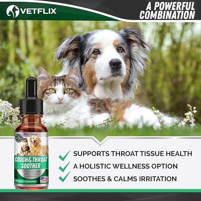 Cough Relief Liquid for Dogs, Cats, Puppies and Kittens, 2 Fl Oz | Dry, Wet and Barky Cough Relief, Kennel Cough and Asthma, Mullein Leaf and Elderberry Blend, Made in USA,