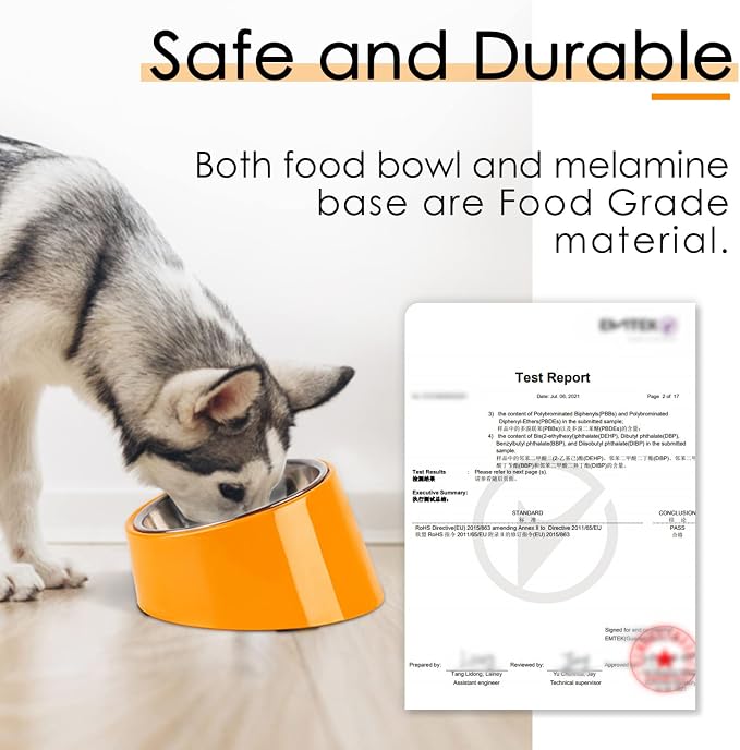 SuperDesign Mess Free 15° Slanted Bowl for Dogs and Cats, Tilted Angle Bulldog Bowl Dog Feeder, Non-Skid & Non-Spill, Easier to Reach Food M/1 Cup Bright Orange