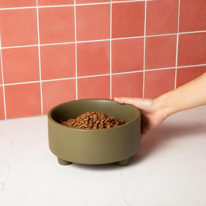 Waggo Uplift Ceramic Dog Bowl for Small Medium and Large Breeds - Heavyweight and Durable Pet Food and Water Dish Crock, Dishwasher Safe, Modern, Elevated Feeder (Olive, Medium)