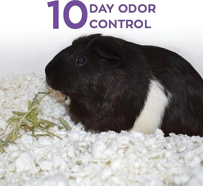 Carefresh 99% Dust-Free White Natural Paper Small Pet Bedding, Hamster Bedding, with Superior 10 Day Odor Control & Absorption, for Guinea Pigs, Hamsters, Rabbits, & Rats, 50 L