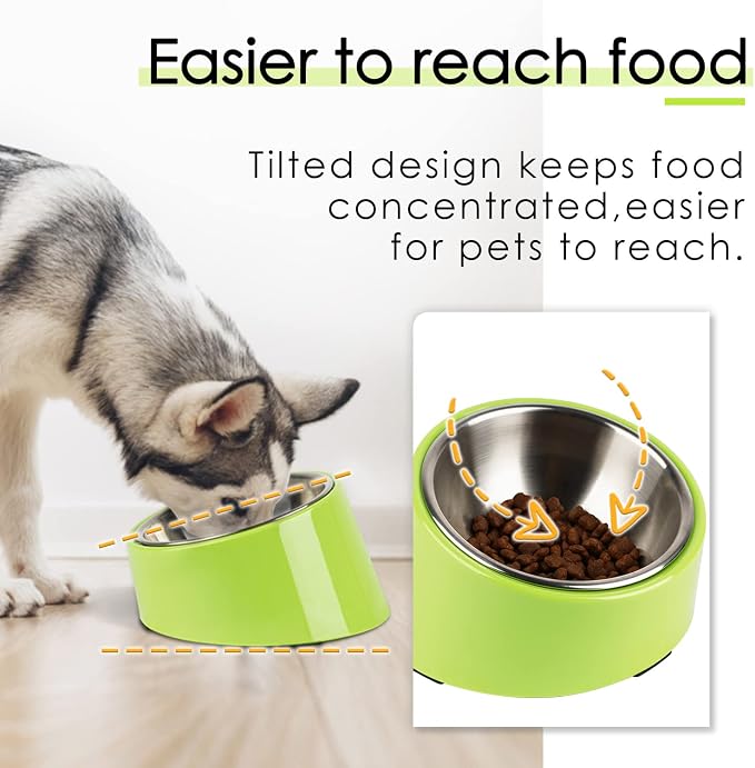 SuperDesign Mess Free 15° Slanted Bowl for Dogs and Cats, Tilted Angle Bulldog Bowl Dog Feeder, Non-Skid & Non-Spill, Easier to Reach Food M/1 Cup Green