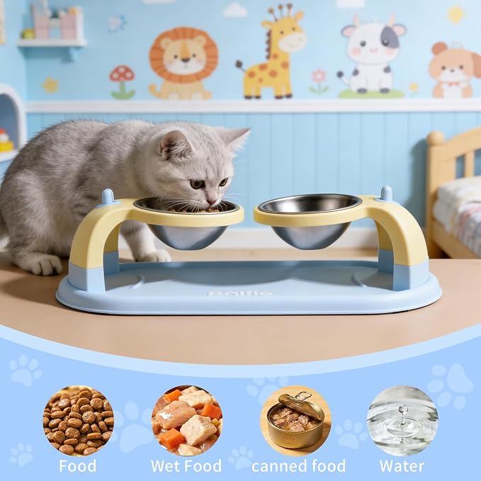 Elevated Stainless Steel Pet Bowls for Cats, 2-in-1 Food and Water Feeder with Non-Slip Base, with Spill-Proof Mat for Small Pets