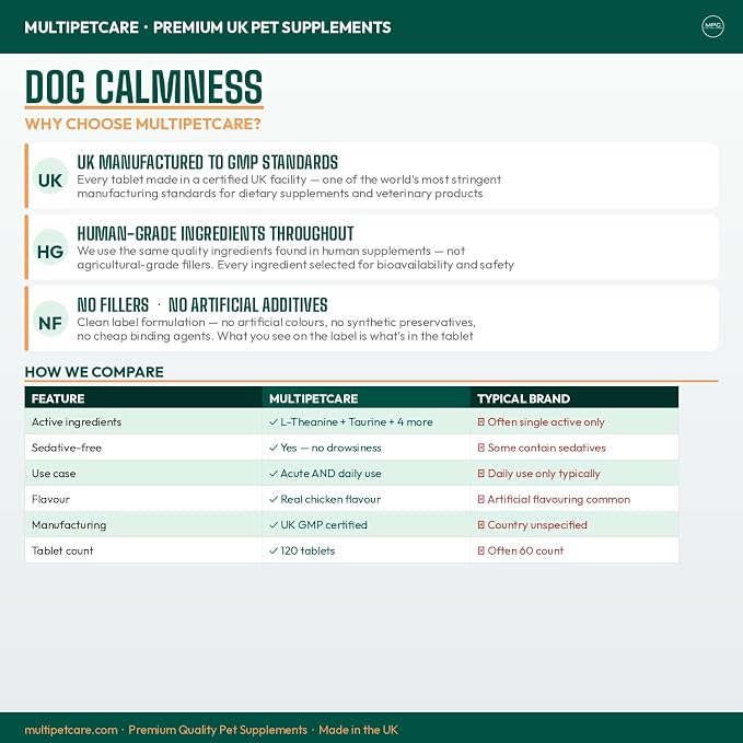 Calming Chews for Dogs – Daily Anxiety & Hyperactivity Support | L-Theanine, Taurine, Magnesium & Ginger | For Separation, Storms, Fireworks & Travel | Chicken Flavor Tablets | UK GMP | 120 Ct