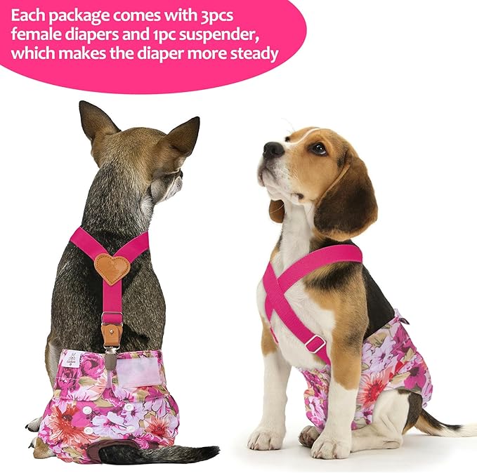 CuteBone Dog Diapers Female 3 Pack Reusable Doggy Diapers with One Suspender for Small Medium Large Dog Period BDD02M