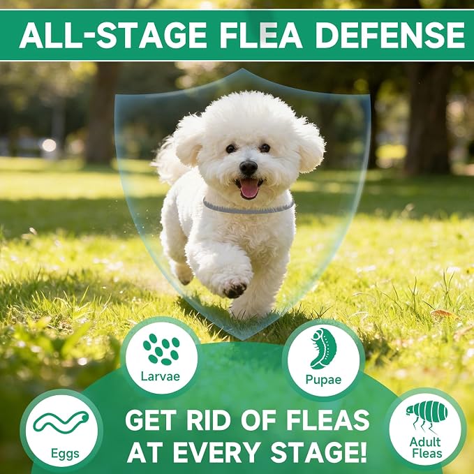 4 Pack Flea Collar for Dogs, 32 Months Flea and Tick Prevention for Dogs, Dog Flea and Tick Treatment, Adjustable Dog Flea Collars, Waterproof Dog Flea Treatment Collar, Flea Treatment for Dogs, Grey