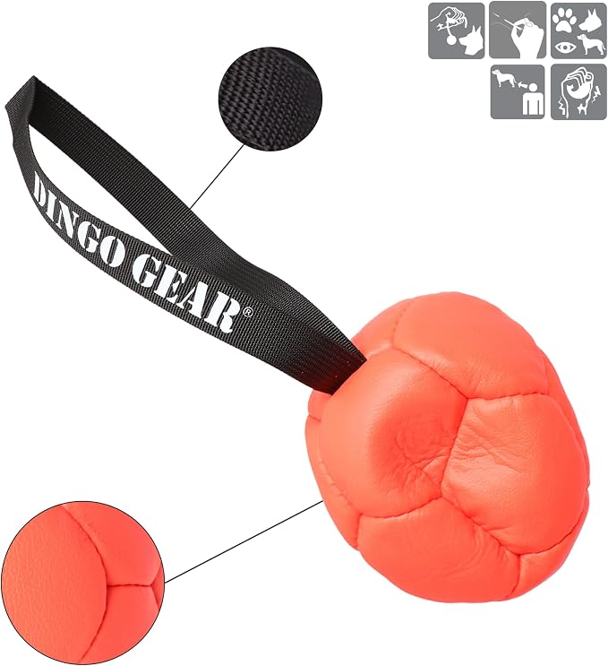 DINGO GEAR WWW.DINGOGEAR.COM 1977 Set Faux Leather Ball with Pump for Dog Training, as Reward for Fetch tug of war, for Strong Dog, Handmade, 5in Orange Z30031