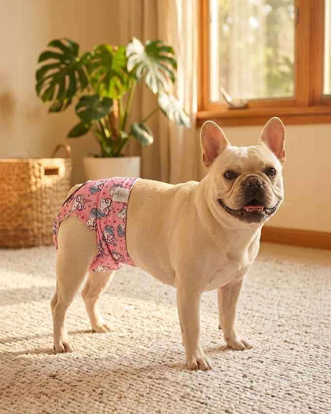 CuteBone Washable Female Dog Diapers 4 Pack Reusable Doggie Heat Diapers for Period FMG09L