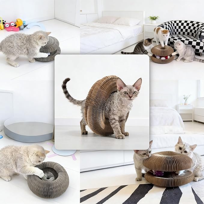 2PCS Magic Organ Cat Scratcher, Foldable Reversible Accordion Cat Toy with Bell Balls, Interactive Scratch Pad Board for Indoor Cats Playing, Cardboard Recyclable Kitty Toy