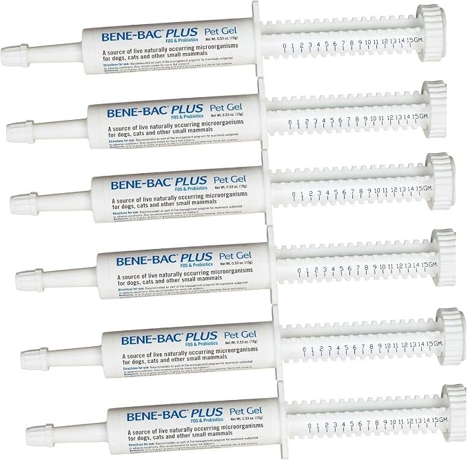 6 Pack Bene-Bac Plus Gel, 15g Syringe 6 -Pack