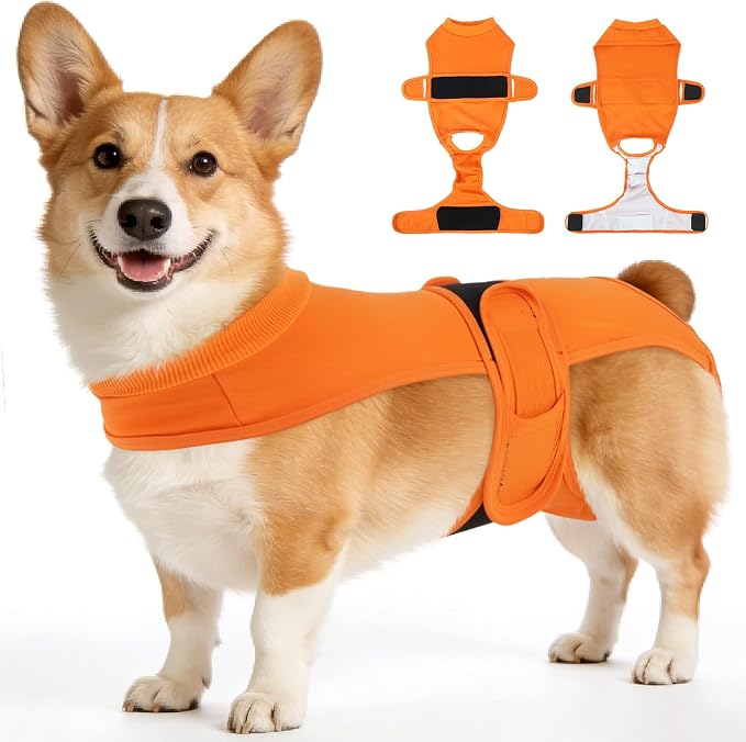 Dog Diapers for Female Dogs, Washable Reusable Female Dog Diapers, Leak Proof Doggie Underwear Sanitary Pants for Heat Cycle, Incontinence and Puppy Training, Adjustable Belly Bands - Orange M