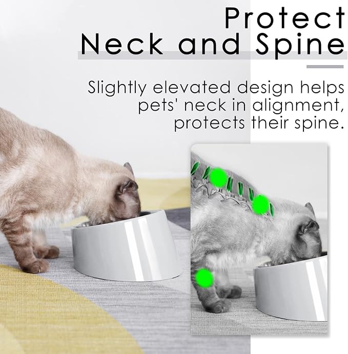 SuperDesign Mess Free 15° Slanted Bowl for Dogs and Cats, Tilted Angle Bulldog Bowl Dog Feeder, Non-Skid & Non-Spill, Easier to Reach Food M/1 Cup Gray