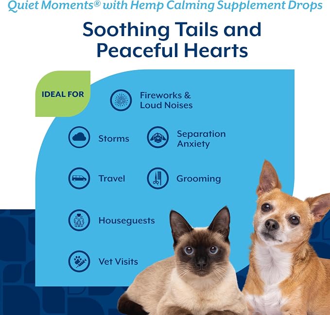 NaturVet – Hemp Quiet Moments Calming Drops – Enhanced with Hemp Seed Oil, L-Tryptophan & Ginger – Helps Reduce Stress & Promote Relaxation – for Dogs & Cats