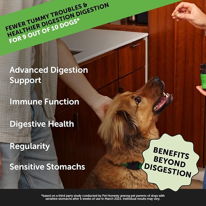 Max Strength Probiotics for Dogs Digestive Enzymes - Advanced Gut Health Supplement for Occasional Diarrhea, Gas + Sensitive Stomach - Prebiotics Postbiotics Fiber for Firm Stools (Chicken, 90 Ct)