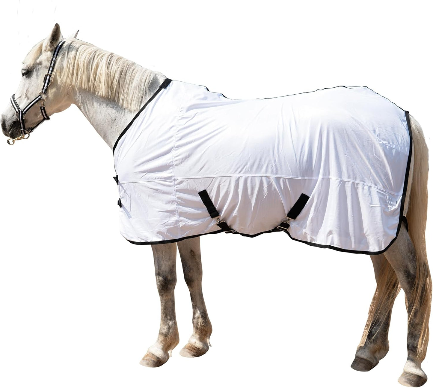 Horse Fly Sheet Equine Summer Sheets, Comfy Mesh Bug and Mosquito Protection Standard Neck - White 81"