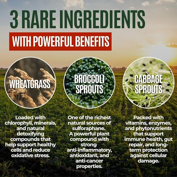 Gussy's Gut Youthful Grasses & Sprouts Dog Gut & Digestive Health Supplement- Human Grade Fermented Ingredients- Super Greens, Pre/Post & Probiotic All in One - Maintain Protocol