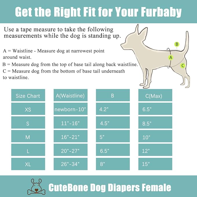 CuteBone Dog Diapers Female 3 Pack Reusable Doggy Diapers with One Suspender for Small Medium Large Dog Period BDD02L