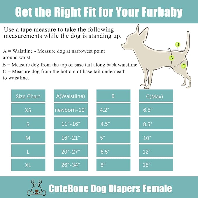 CuteBone Dog Diapers Female 3 Pack Reusable Doggy Diapers with One Suspender for Small Medium Large Dog Period BDD02M